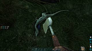 ［プレイ動画］ARK Survival Evolved【PC版】［雑用］　7ページ目