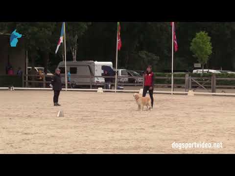 Selection - Monika Krella + Easter Blue Sky Narnia Baltica/Golden Retriever - Poland