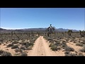 Josh Homme Lonely T Bird