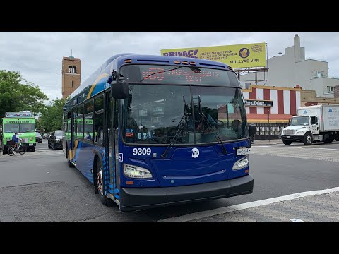 Bus Q69