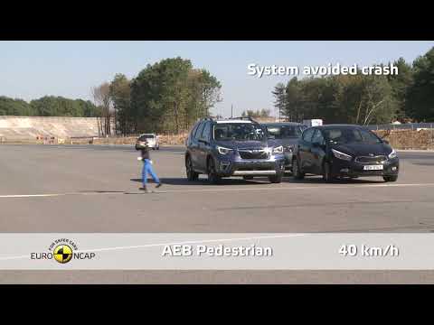 EyeSight Test  Euro NCAP Crash & Safety Tests of Subaru Forester