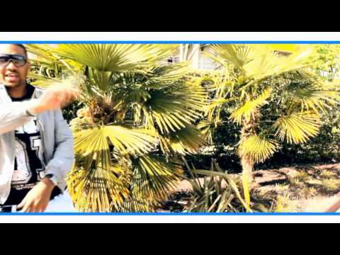 COMAR FEAT METYS'D - AFFOLANT CLIP OFFICIEL