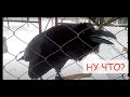 https://www.youtube.com/watch?v=FrMkeclBIVk