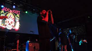 Mad Caddies - Weird Beard