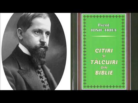 Cartea: Citiri și tâlcuiri din Biblie - partea 1