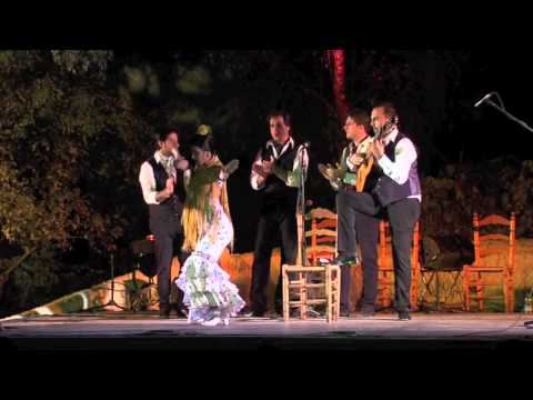 ANA CALI - NUEVO ESPECTACULO - "DE COBRE Y LUNARES"