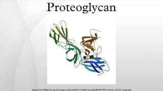 Proteoglycan - Functions