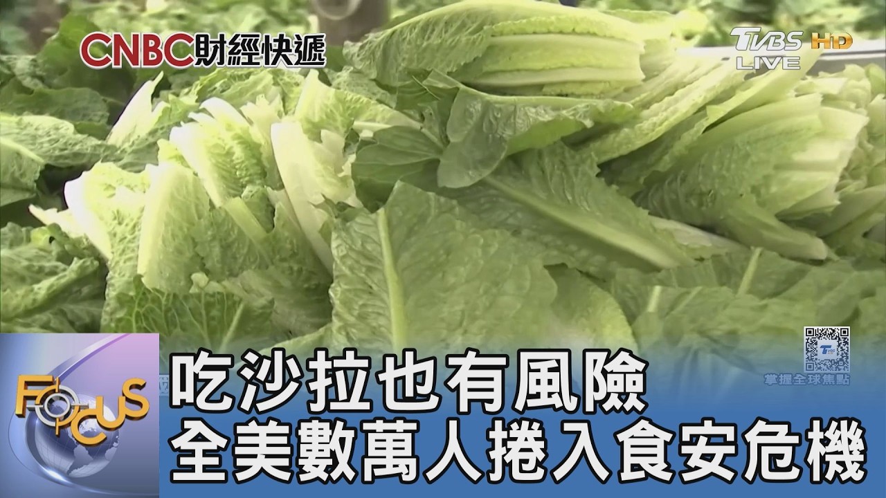 吃沙拉竟然會中毒?全美爆發史上最大寄生蟲疫情 連生菜都不能洗掉