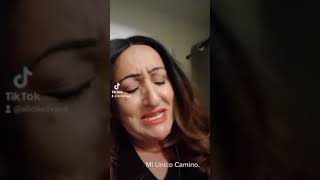 MI UNICO CAMINO. VICENTE FERNANDEZ 🐴