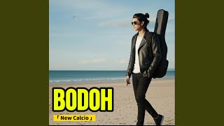Download lagu Bodoh (New Calcio) mp3