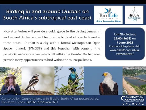 Conservation Conversations: Birding in and around Durban – Nicolette Forbes (7 June 2022)