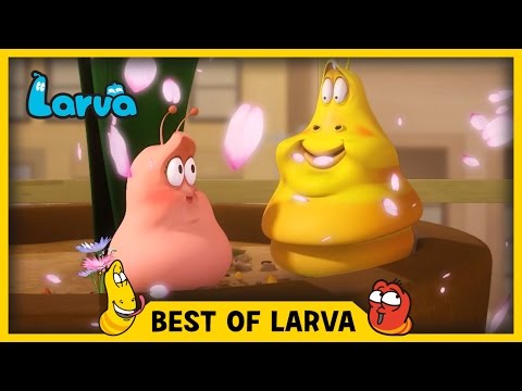 LARVA | BEST OF LARVA | Funny Cartoons for Kids | Cartoons For Children | LARVA 2017 WEEK 14