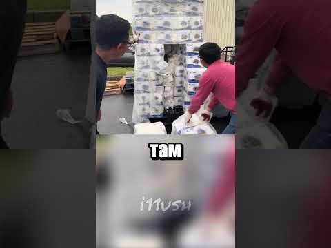 Кто в туалетной бумаге спрятался?