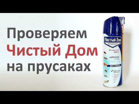 Проверяем Чистый Дом: 1 минута - и тараканов нет