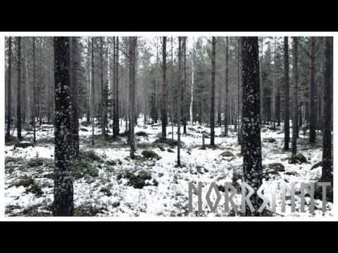 Norrsinnt - Skogsgömd (demo)