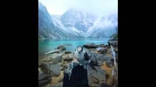 Пошлые Приколы с девушками 2019 Угар. новые приколы. Супер приколы