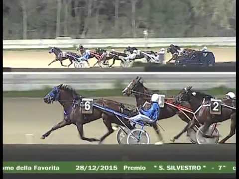 7° CORSA  del 28 DICEMBRE 2015