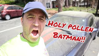Atlanta Georgia Pollen Is Out In Force