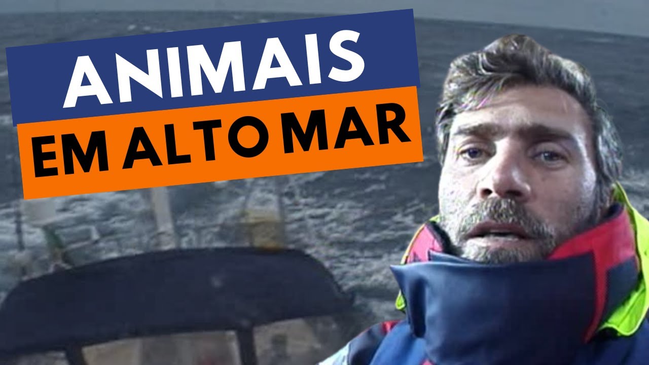 I completed 30 days at sea! - Ep. 5