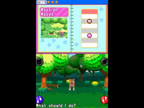 My Pet : Beauty Salon Nintendo DS