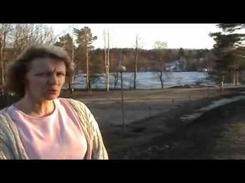 HammaslahtiYmparisto.wmv