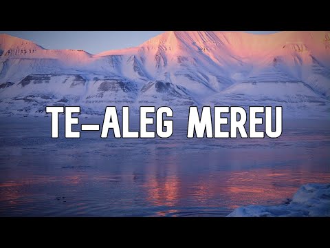 Te-aleg Mereu! (Versuri) - Nicolae Moldoveanu | Studio Luminei