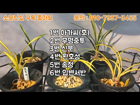 유튜브 썸네일