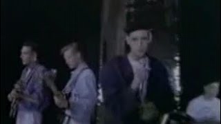 Curiosity Killed The Cat - Misfit