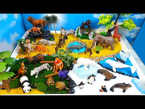 Meet Zoo animals- Let's make our own Zoo with African Wild and Polar animals-DIY Diorama for kids