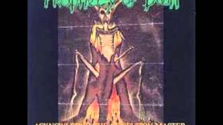 Prophecy of Doom , Axegrinder Split