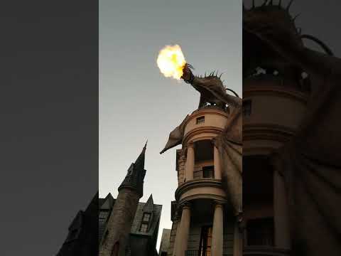 Harry Potter Fire Breathing Dragon