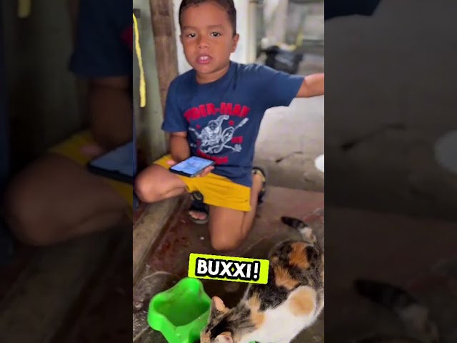 Video 6