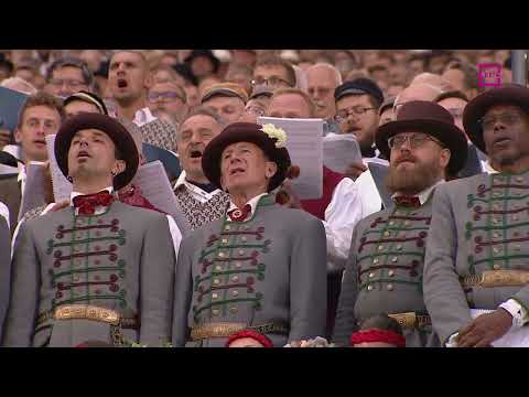 DzSv 2023 (Tīrums) - Apkal manu kumeliņu