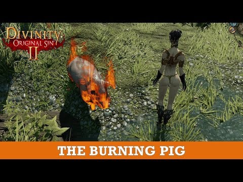 The Burning Pigs Quest (Divinity Original Sin 2)