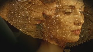 Leonard Cohen -  A Thousand Kisses Deep