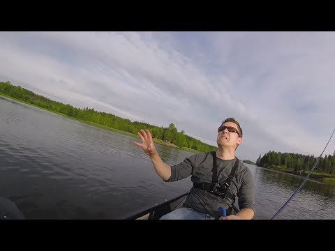 Tunarit kalassa ja mummomallin parkkouria