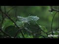 Kaatrukulle Song Sarvam Whatsapp Status Yuvan Shankar Raja