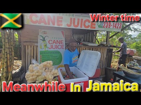 WINTER  TIME IN JAMAICA EARLY MORNING WALK BY VIEW OCHO RIOS JAMAICA NATURAL 🇯🇲 