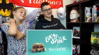 Lucas The Spider - New Friend REACTION