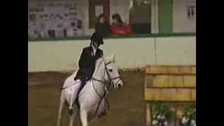 preview picture of video 'Lucky Strider (16yrs) - Toggi Showjumping Champs, Stoneleigh 1997'