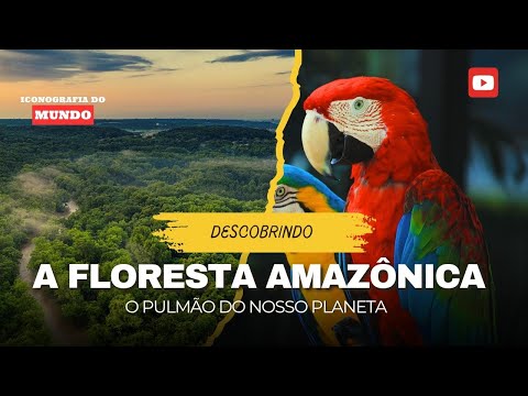 Venha conhecer um pouco sobre o maior patrimônio da humanidade, a Amazônia.