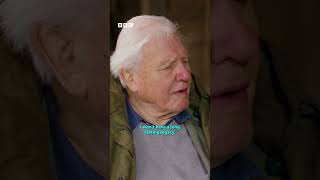 The LEGEND that is Sir David Attenborough 🤩#WildIsles, coming soon to #iPlayer