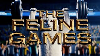 Cats Compete in The Feline Games!!!  #funny #cats #lol #catvideos