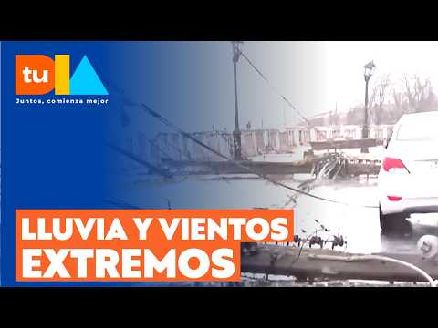 Lluvia y viento extremo en la región de Valparaíso causa caída de postes de luz y árboles | Tu Día