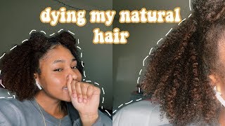 Dying My 4b/4c Natural Hair | Dark & Lovely Dye