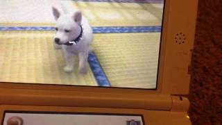 How to breed your Nintendog in nintendogs +cats ( easy)