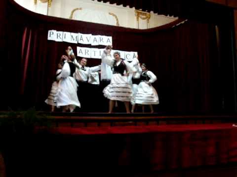 Colegiul National Alexandru Papiu Ilarian / Dansuri germane(1)