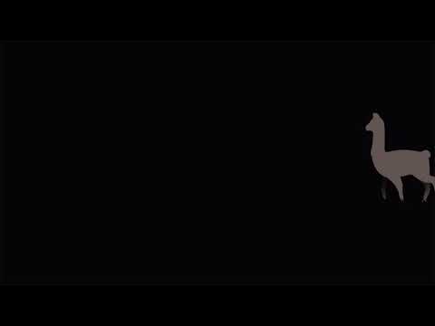 Pyrex Sosa- “8/23/2020” (Official Music Video)