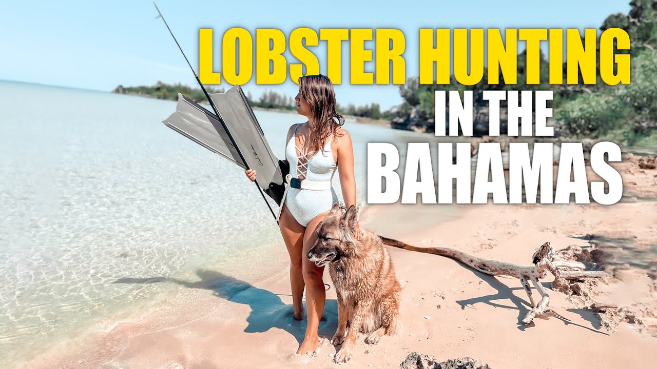 Lobster Catch & Cook in the Bahamas | SAILING SUNDAY | vlog. 241