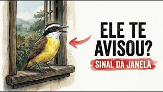 Miniatura do vídeo